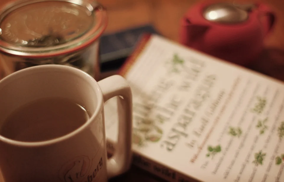 Berry-Leaf Tea