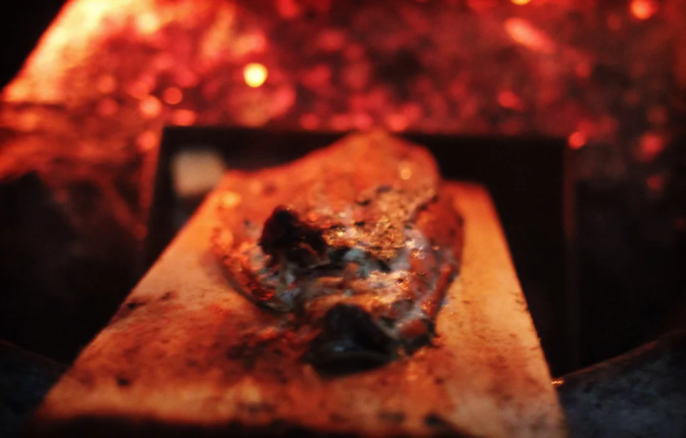 Planked Salmon on the Fire