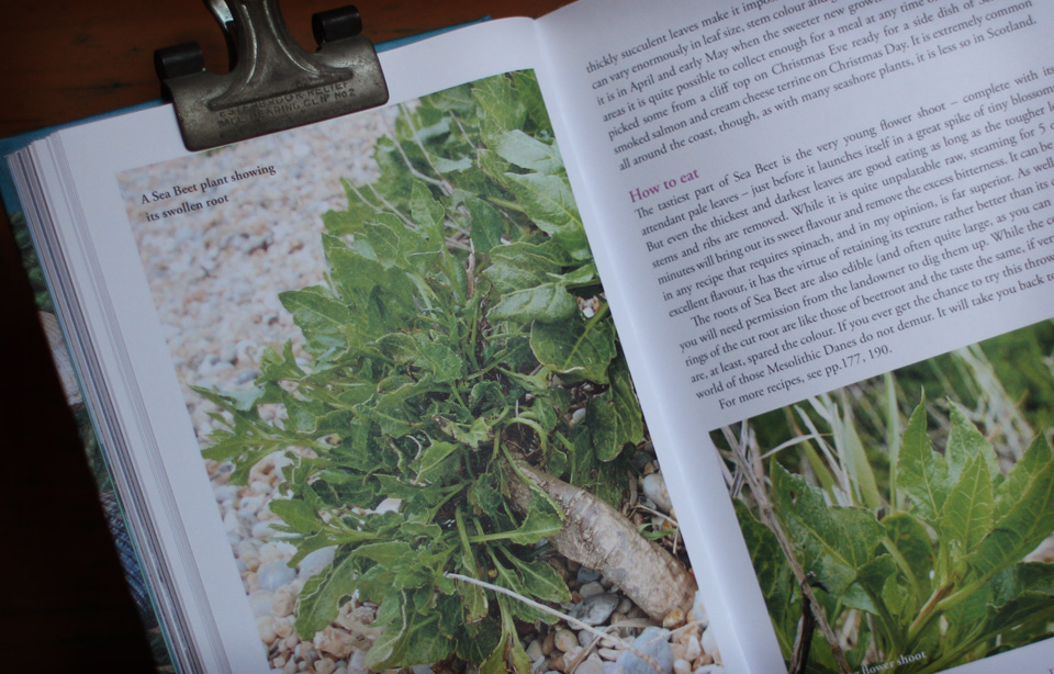 River Cottage Handbooks The Vintage Hiking Depot