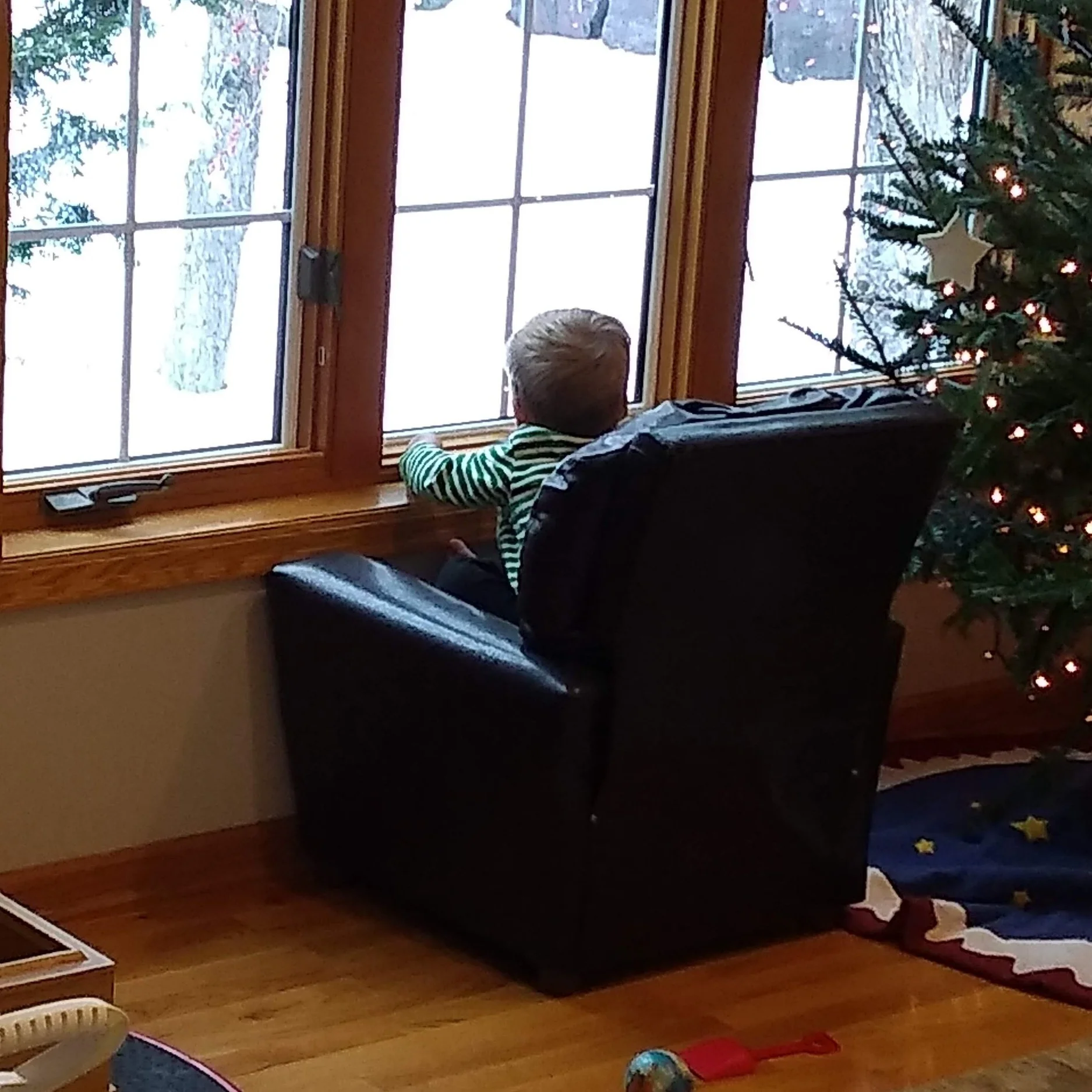 A Fun Day the TOPS Way (Without a "Cat in the Hat")