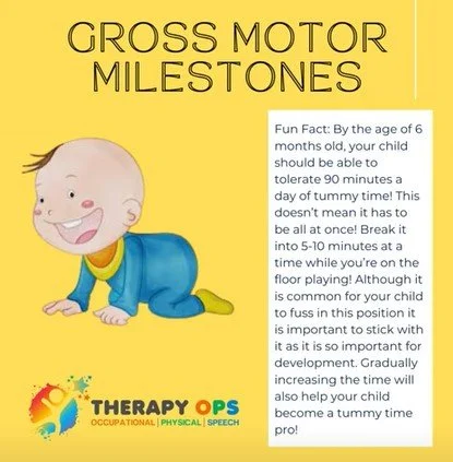 Gross Motor Milestones
