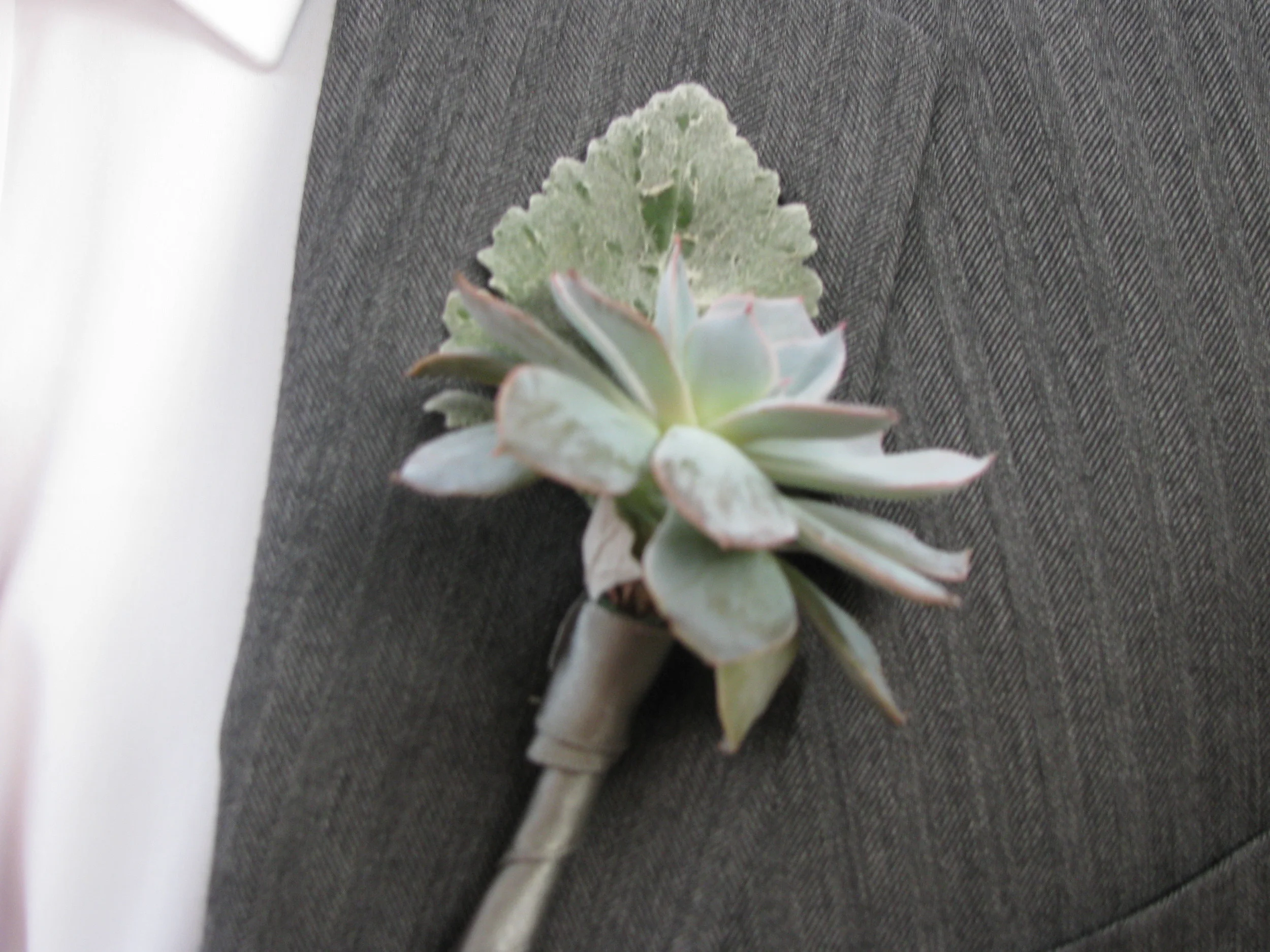 Wed Pics 359.jpg