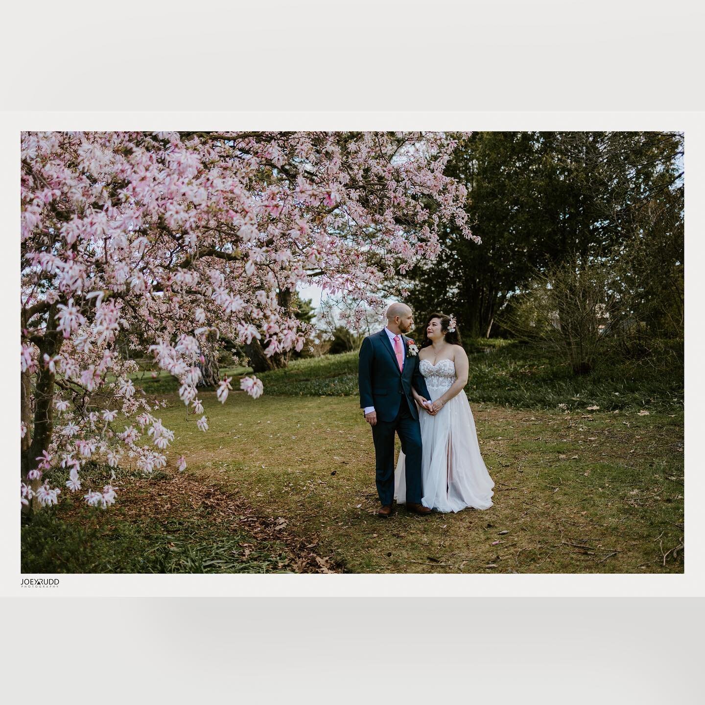 Some preview shots from the beautiful wedding of @bootz_n_catz &amp; Dan. #wedding #ottawa #elopement #microwedding #weddingphotos #weddingplanning #engaged #weddinginspiration #ottawawedding