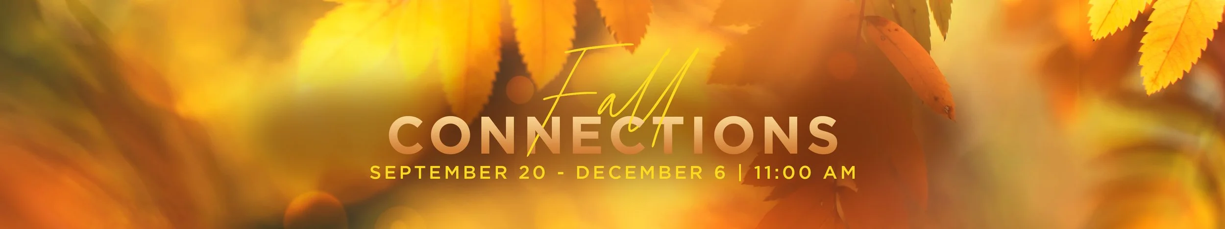 Fall Connections3840 x 720 (1).jpg