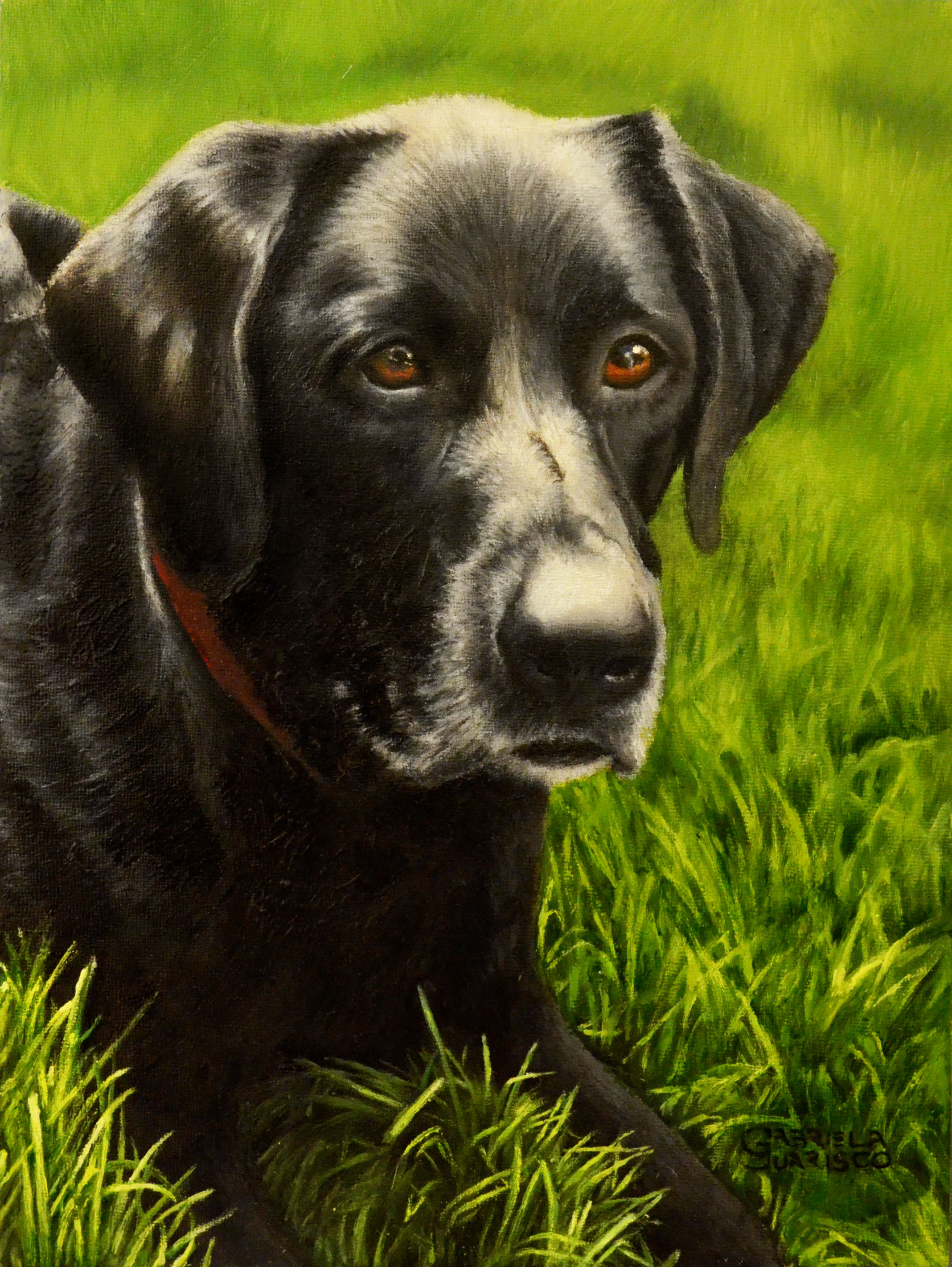  Portrait of Cooper, 12" x 16" Oil Painting 