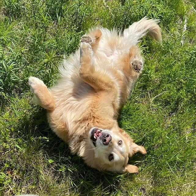 Cooper❤️