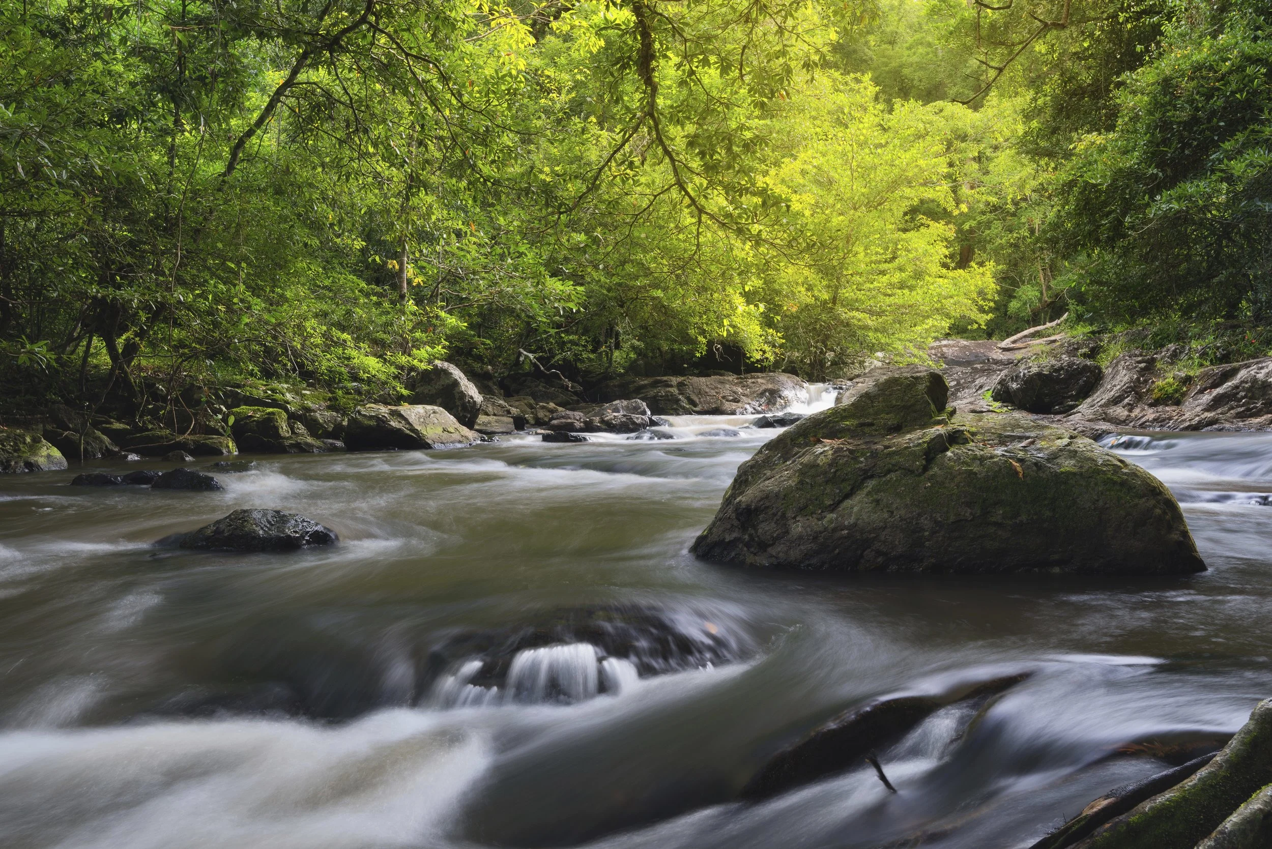 iStock_000074051301_Full.jpg