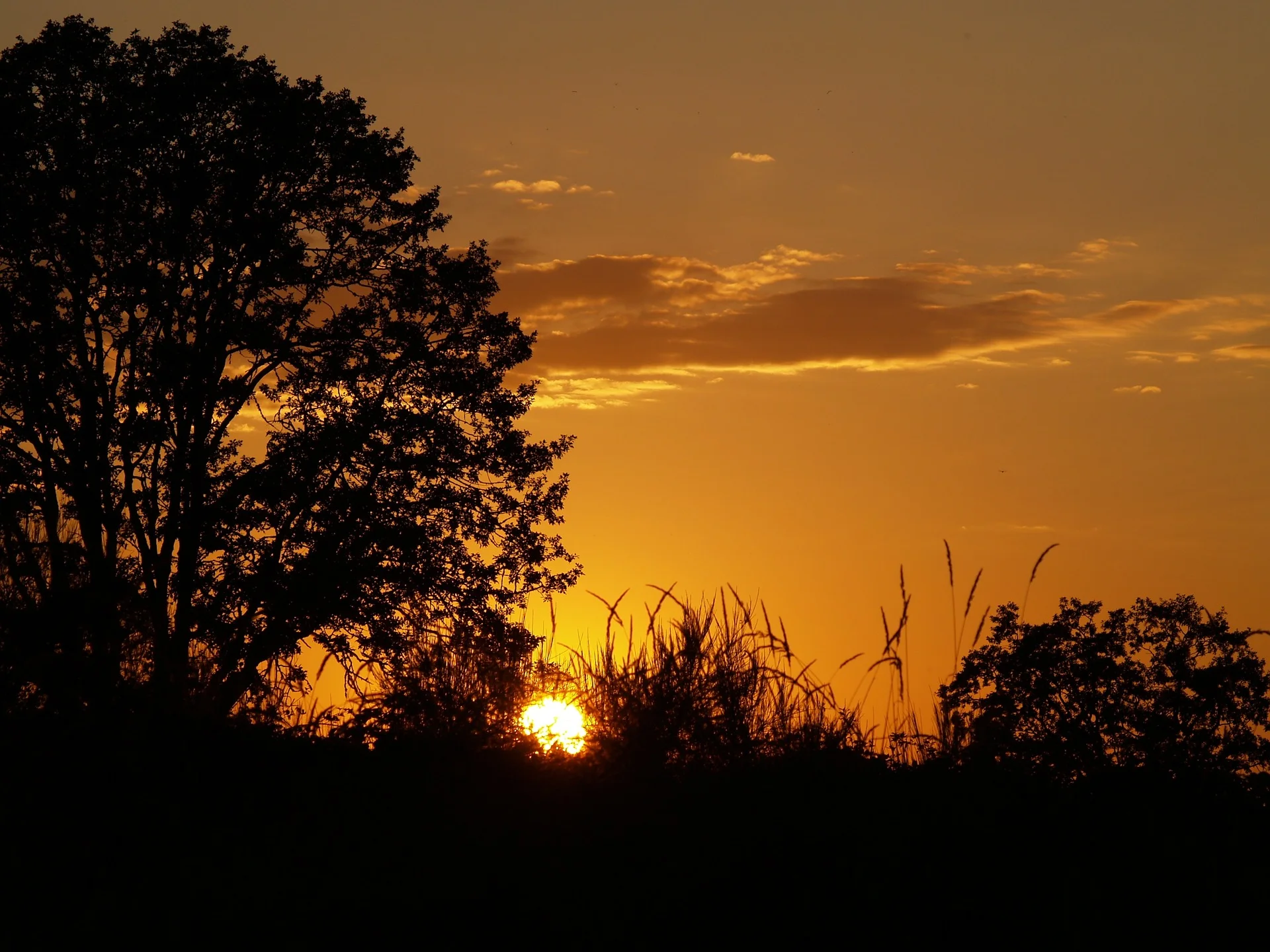 sunset-1508208_1920.jpg