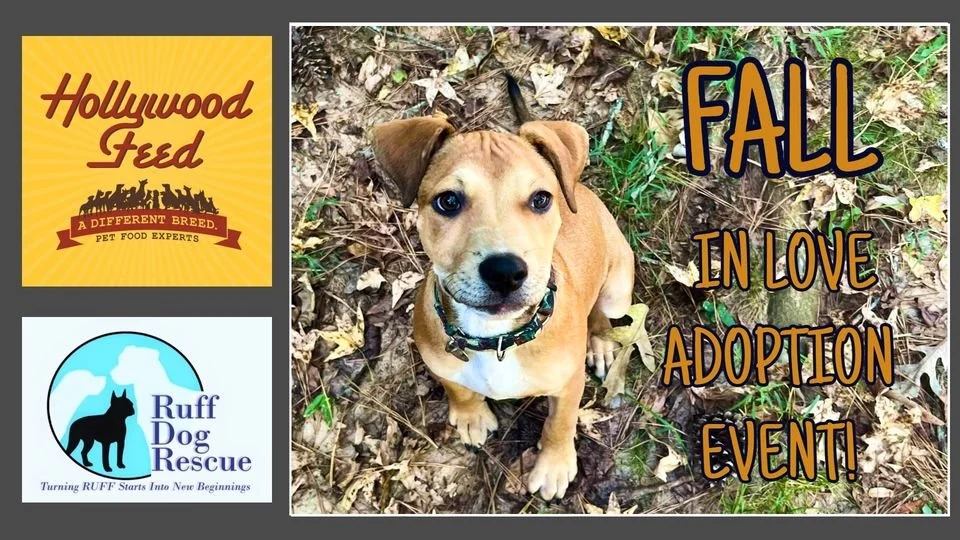 Adoption Events — Ruff Dog Rescue