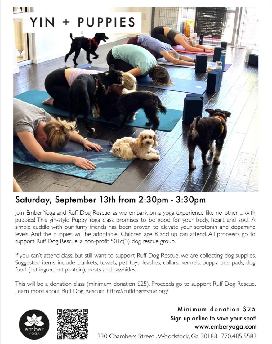 Hot Ember Yoga Adoption Event