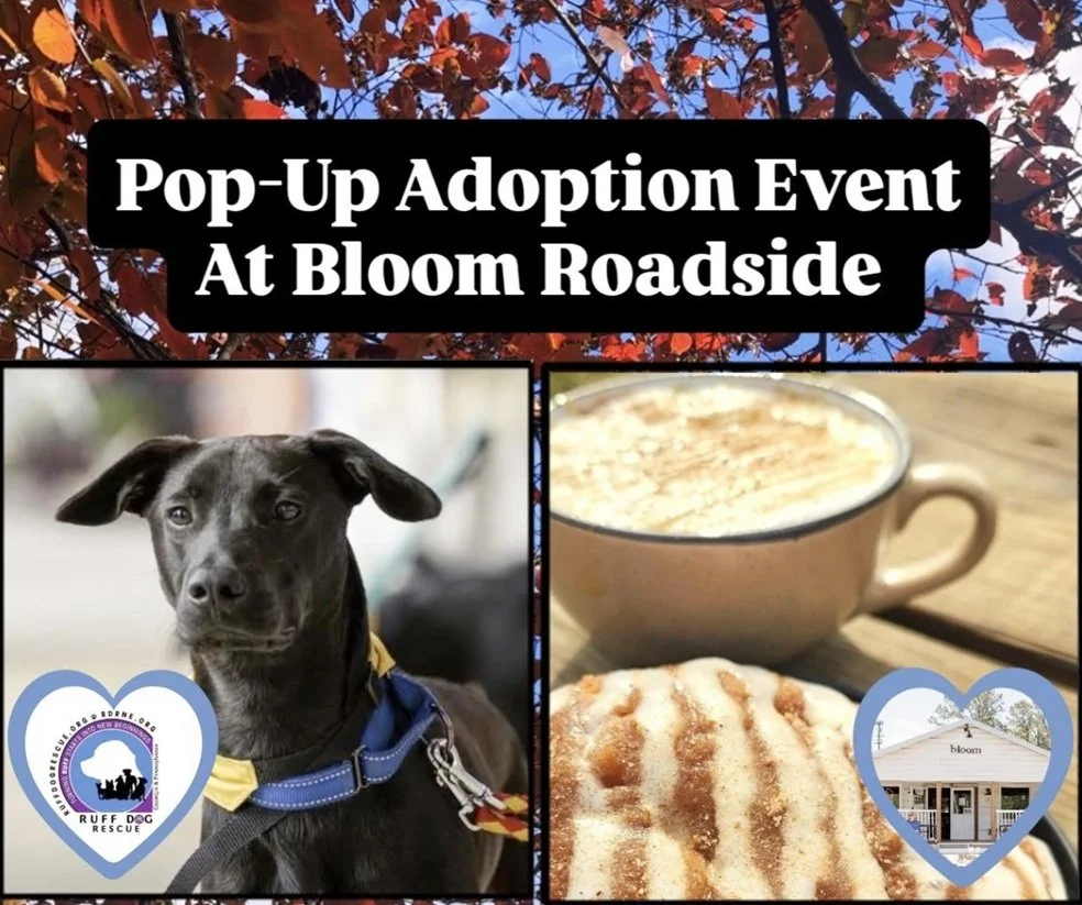 Ruff Dogs at Bloom Adoption Event