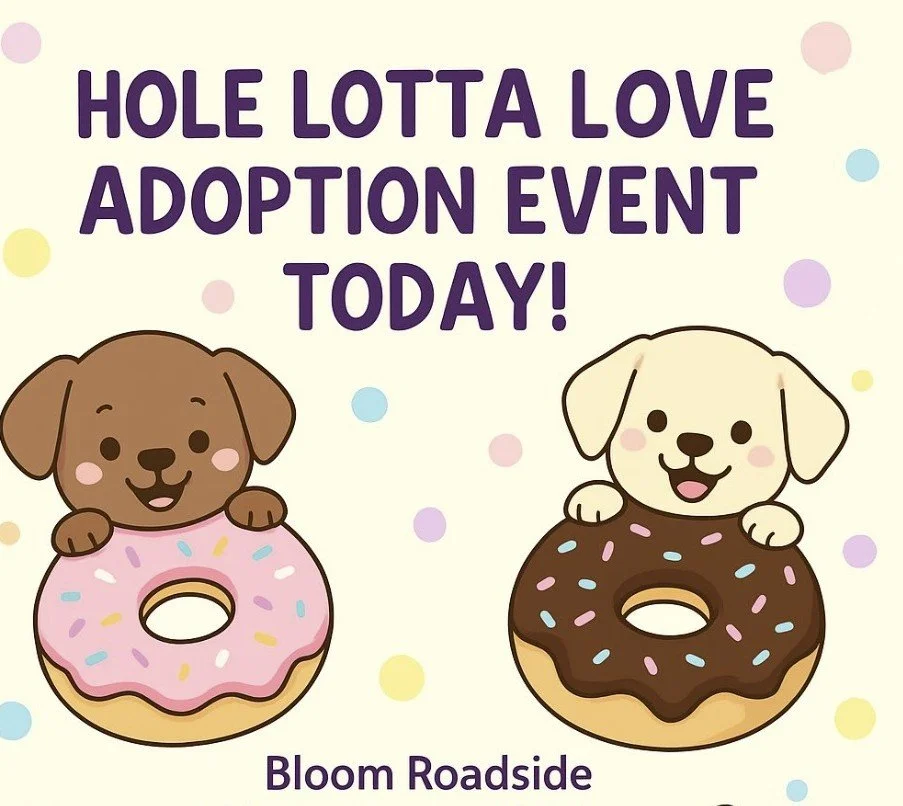 Ruff Dogs at Bloom Adoption Event