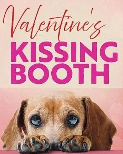 Ruff Dog Adoption Event - Hollywood Feed