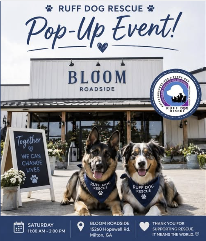 Bloom Pop Up Adoption Event