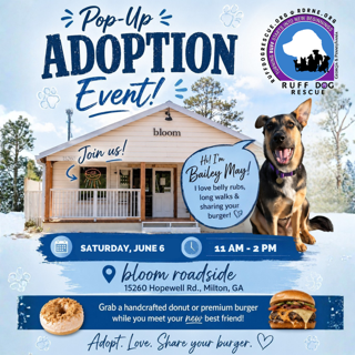 Bloom Pop Up Adoption Event