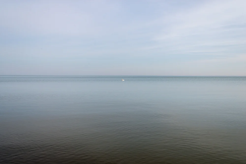 ColorPhotoFinal-5.jpg