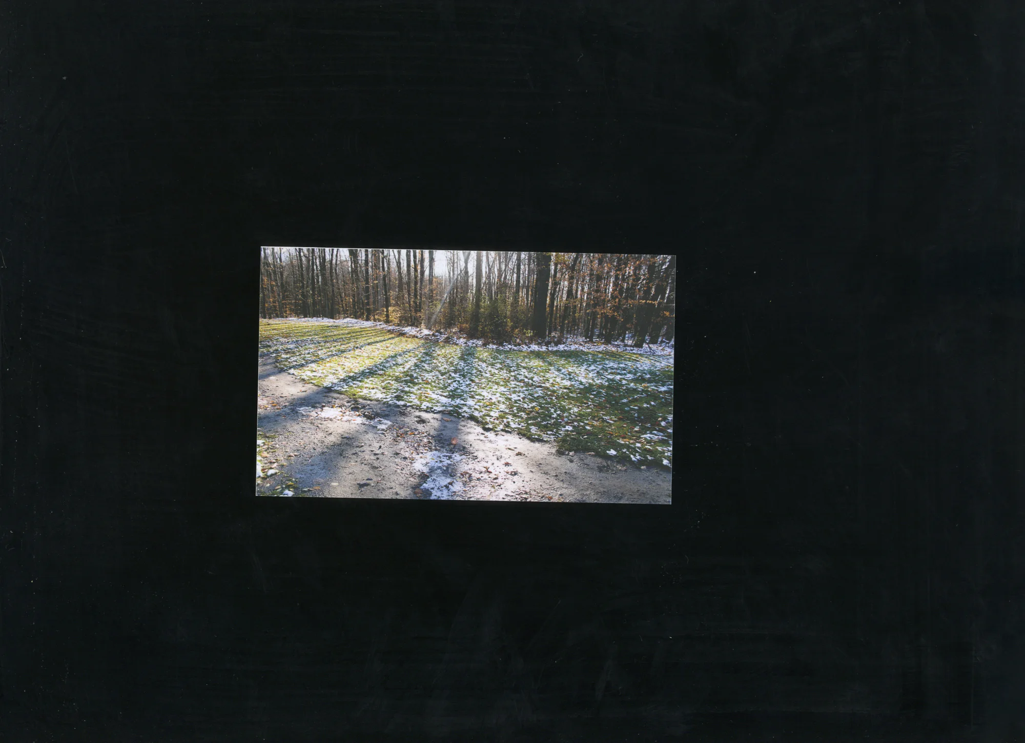 Texidor_Mariah_Intuition_31loose print.jpg