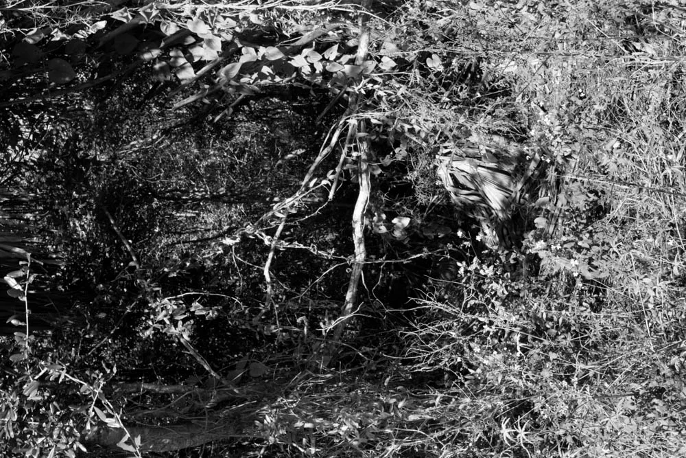 Interwoven into the Darkness, 2011