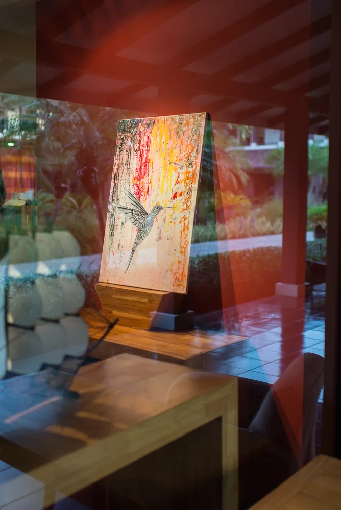 Hummingbird Daydreams, 2014