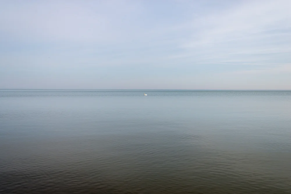 Peace in Winter, 2014