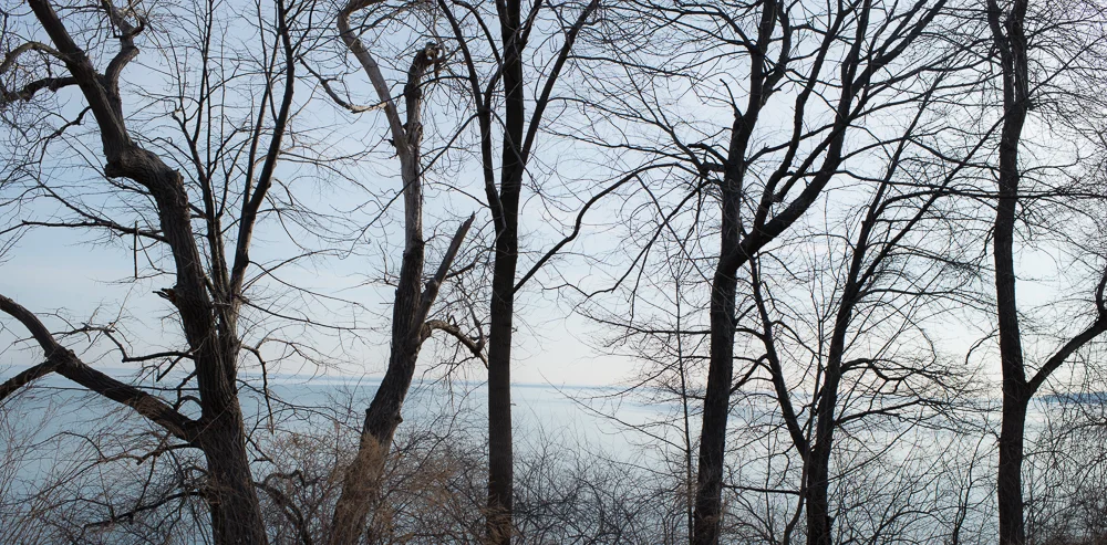 MTWebsite-Texidor_20140326_952.jpg