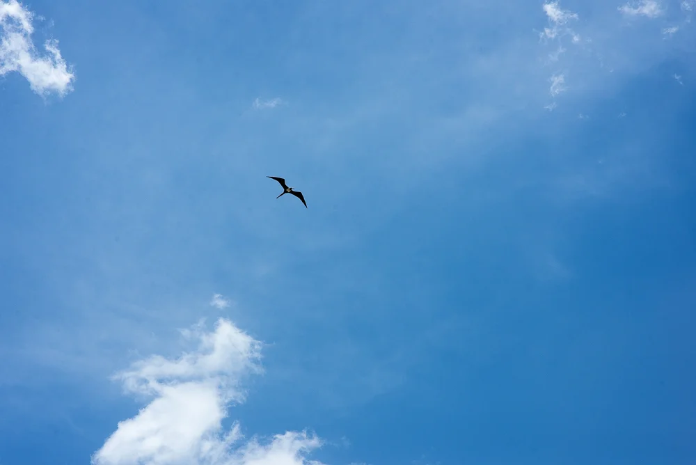 MTWebsite-Texidor_20140326_952.jpg
