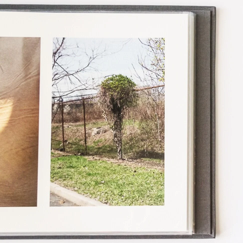 A Timelapse - Building A Piece of History