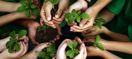 Why Desiccant Dehumidifiers are Better for the Environment.