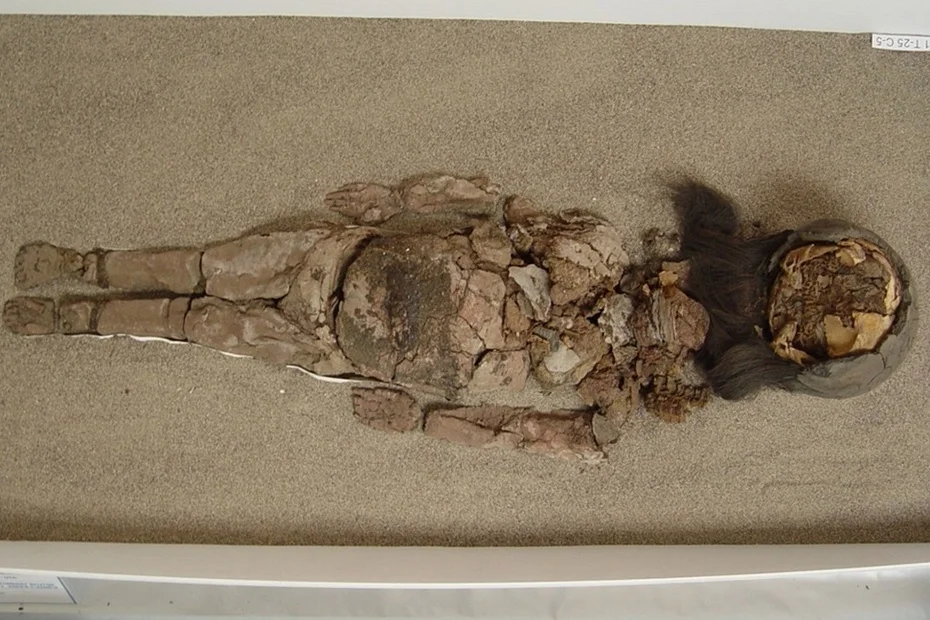 The Importance of Humidity Control in Museums and Archives