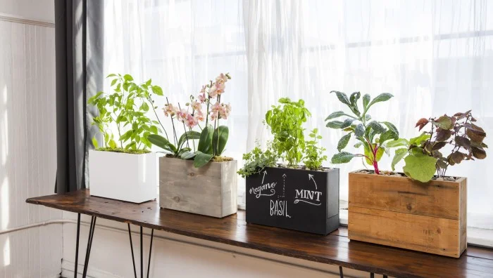 ModernSprout_207-700x396.jpg