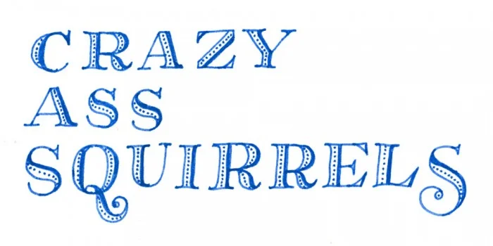 squirrels-700x350.jpg