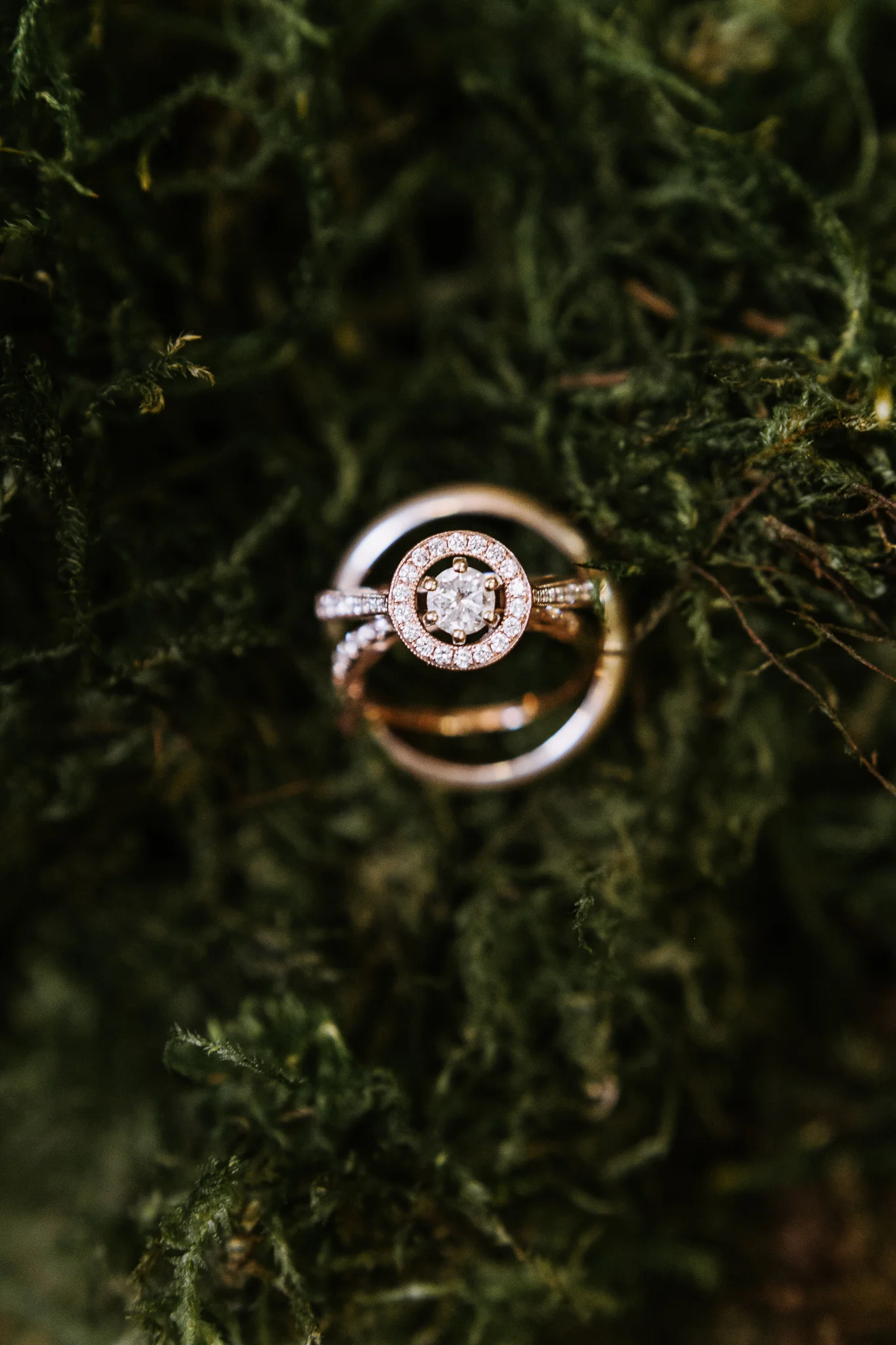 SacramentoWeddingPhotographer-Z&C-43.jpg