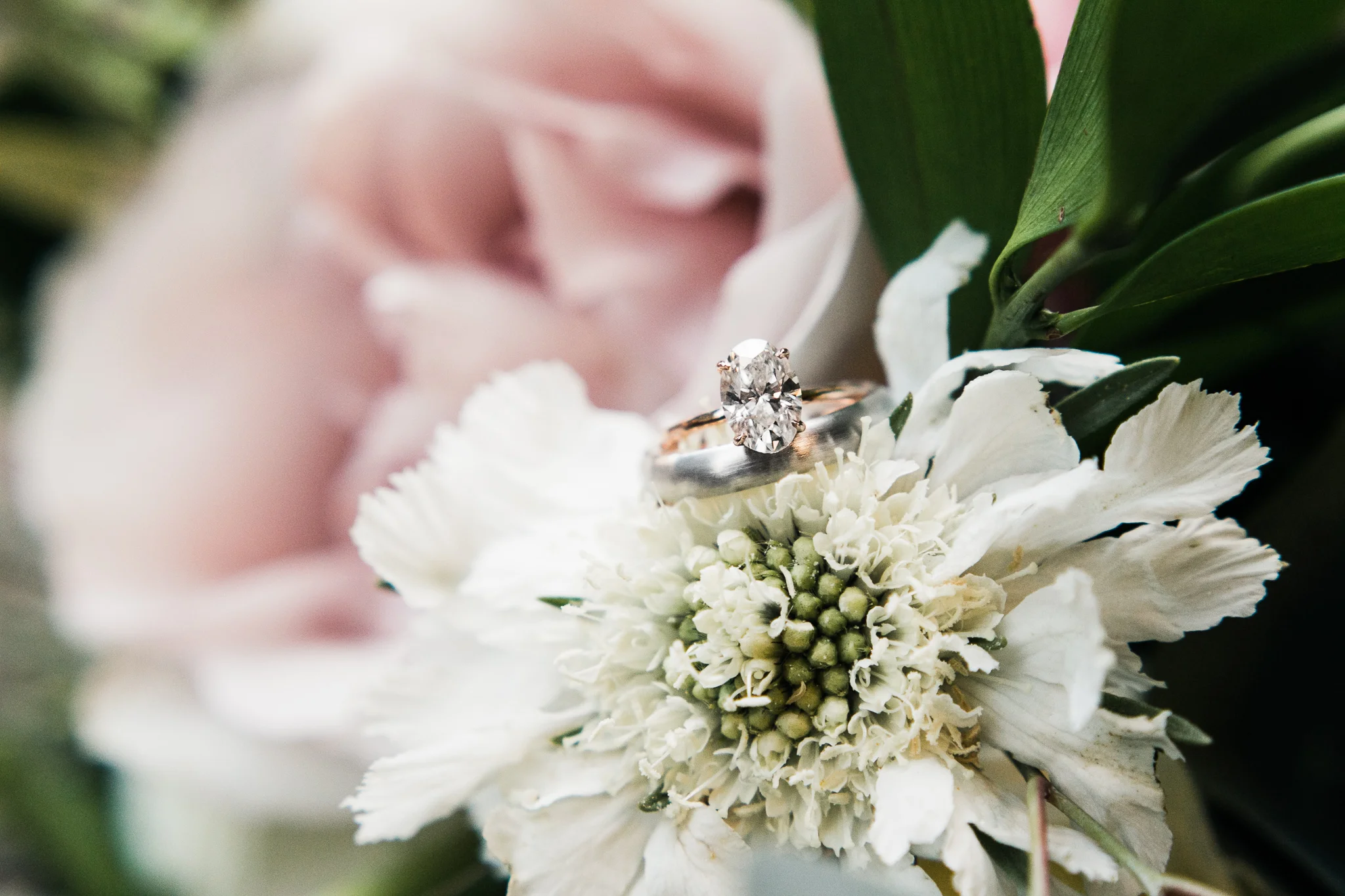 Sonoma-Wedding-Photographer (11 of 28).jpg