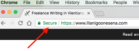 lilanigoonesena-business-basics-domain-names-ssl-certificate.png