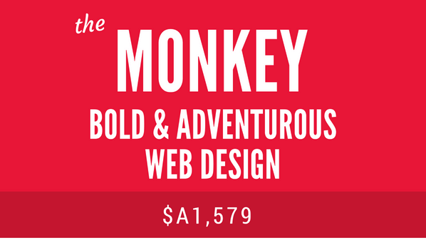 The Monkey web design package - friendly, adventurous Squarespace web design lilanigoonesena.com