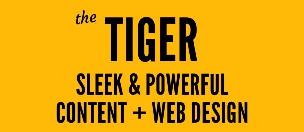The Tiger web design package - powerful Squarespace web design and SEO lilanigoonesena.com