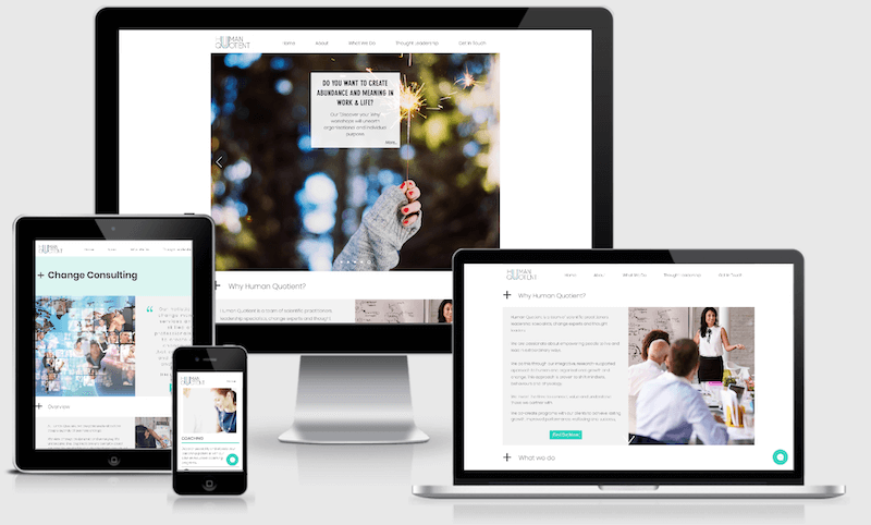 lilanigoonesena-seo-copywriting-human-quotient-website.png