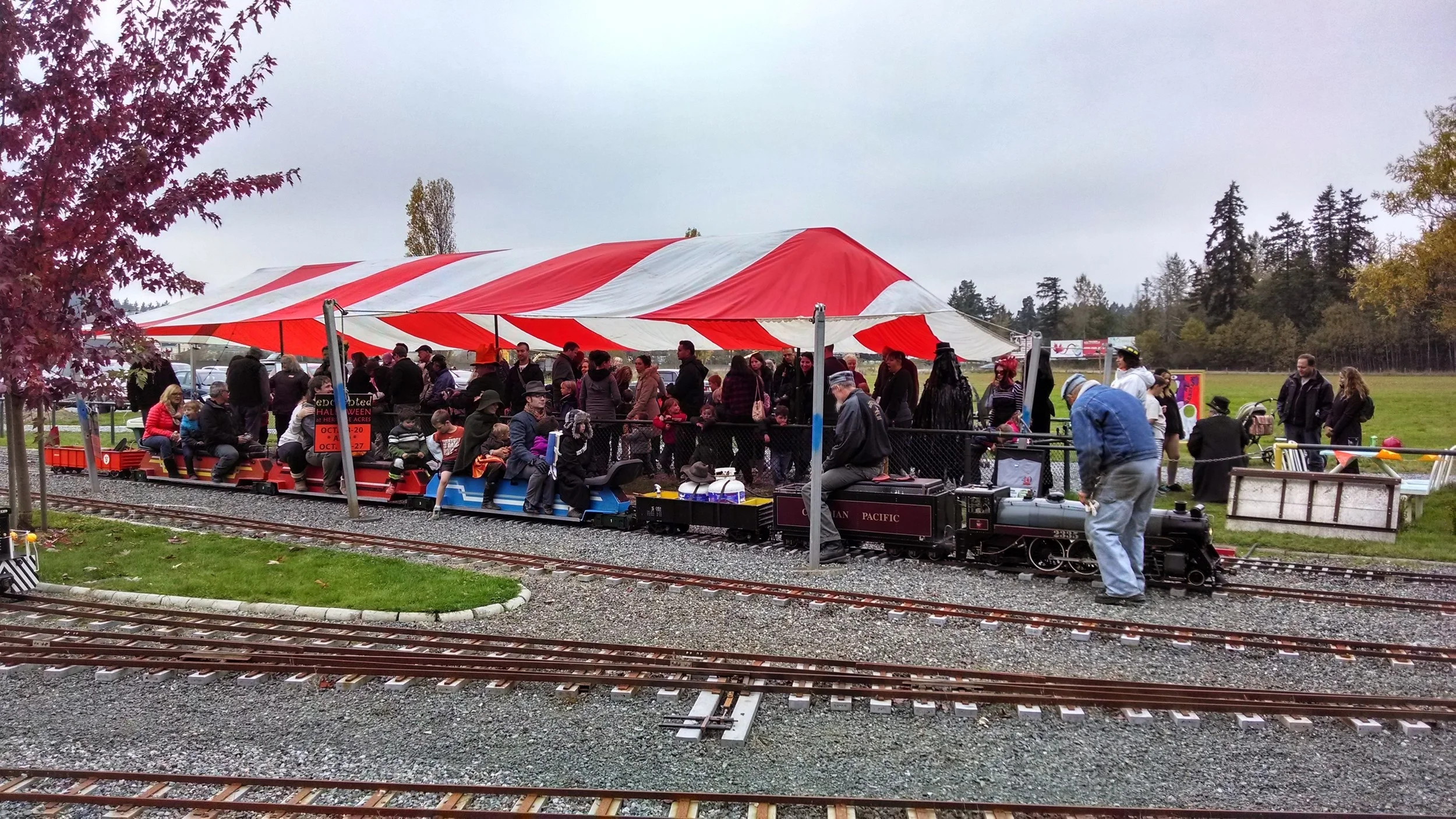 IMG_20131020_163258845_HDR.jpg