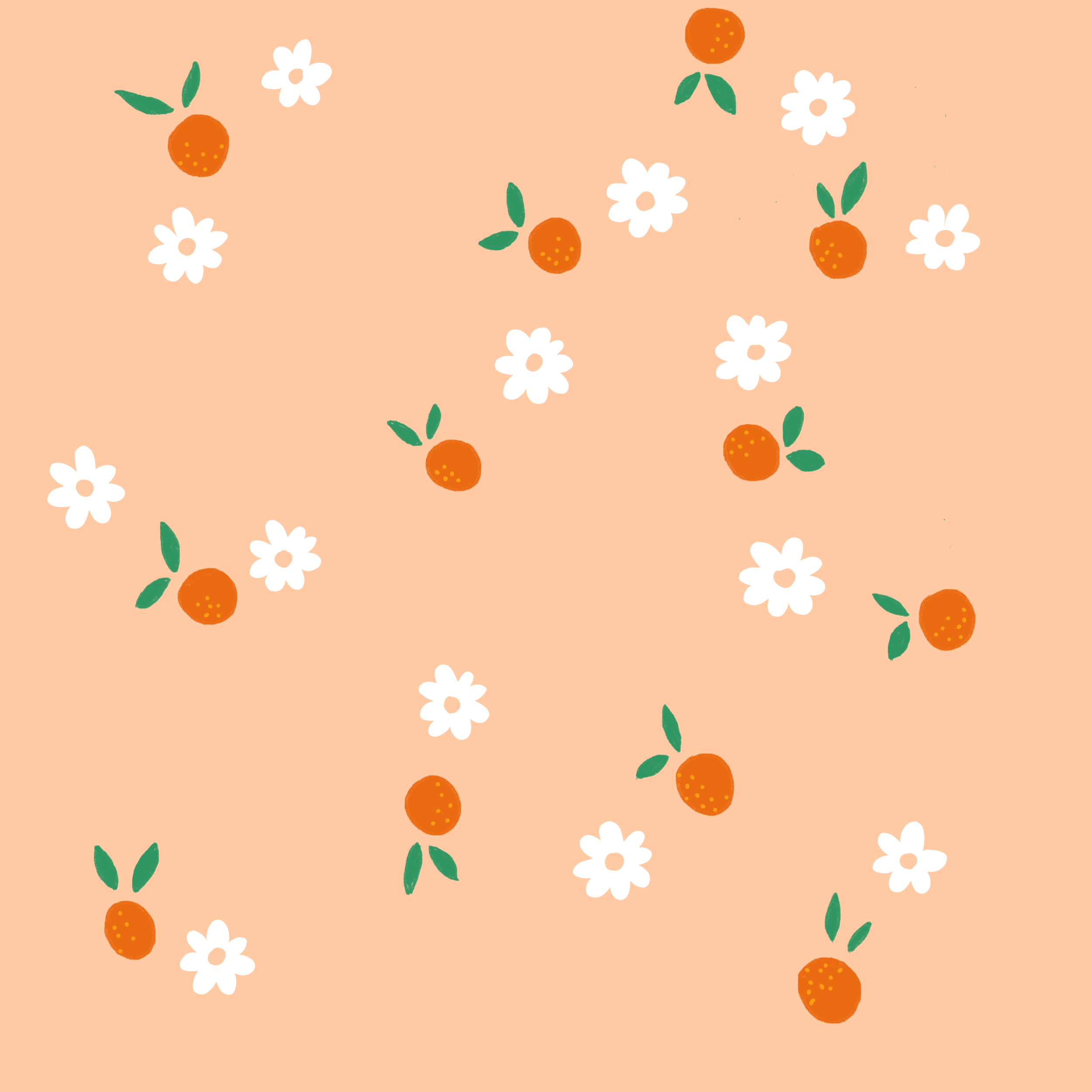 IMG_0433.png