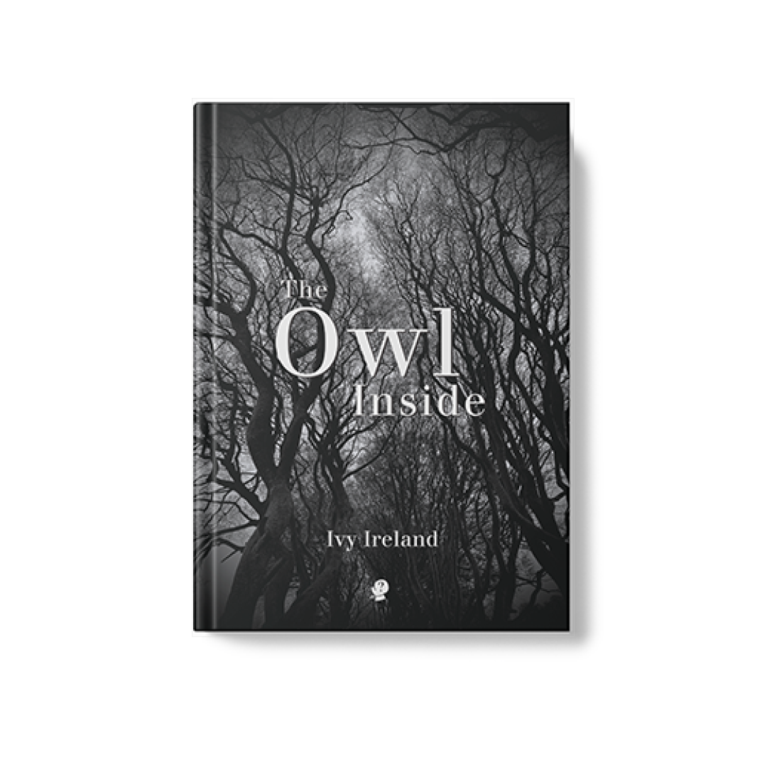 Book cover The Owl Inside Ivey Ireland.png