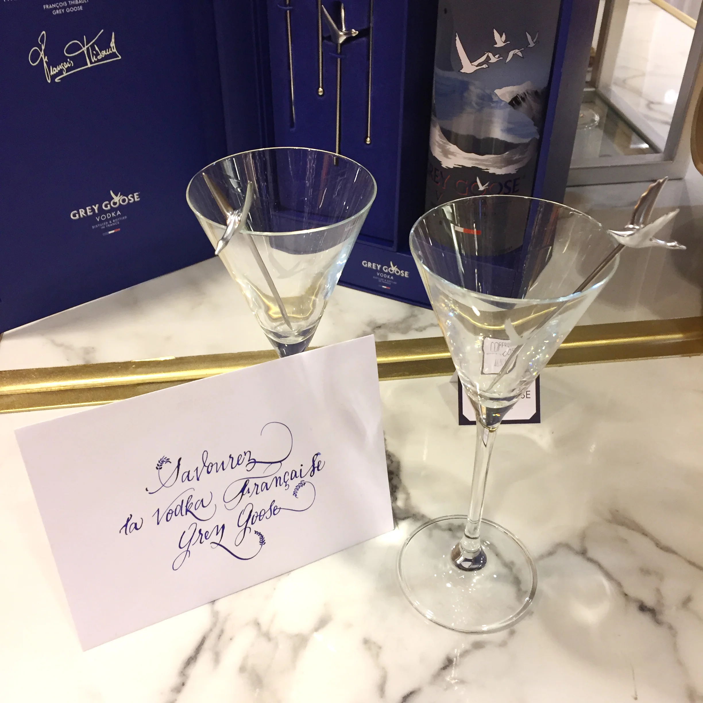 Sandie lechaix_greygoose-02.JPG