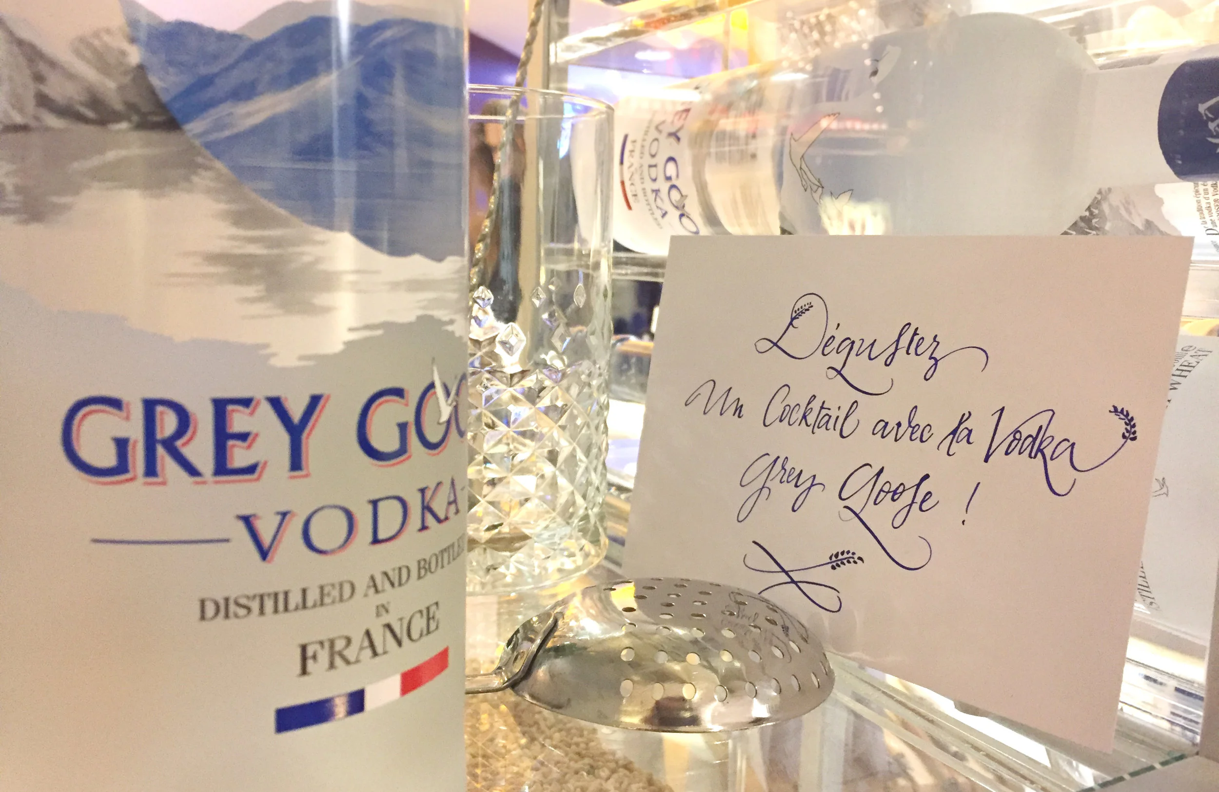 Sandie lechaix_greygoose-01.JPG