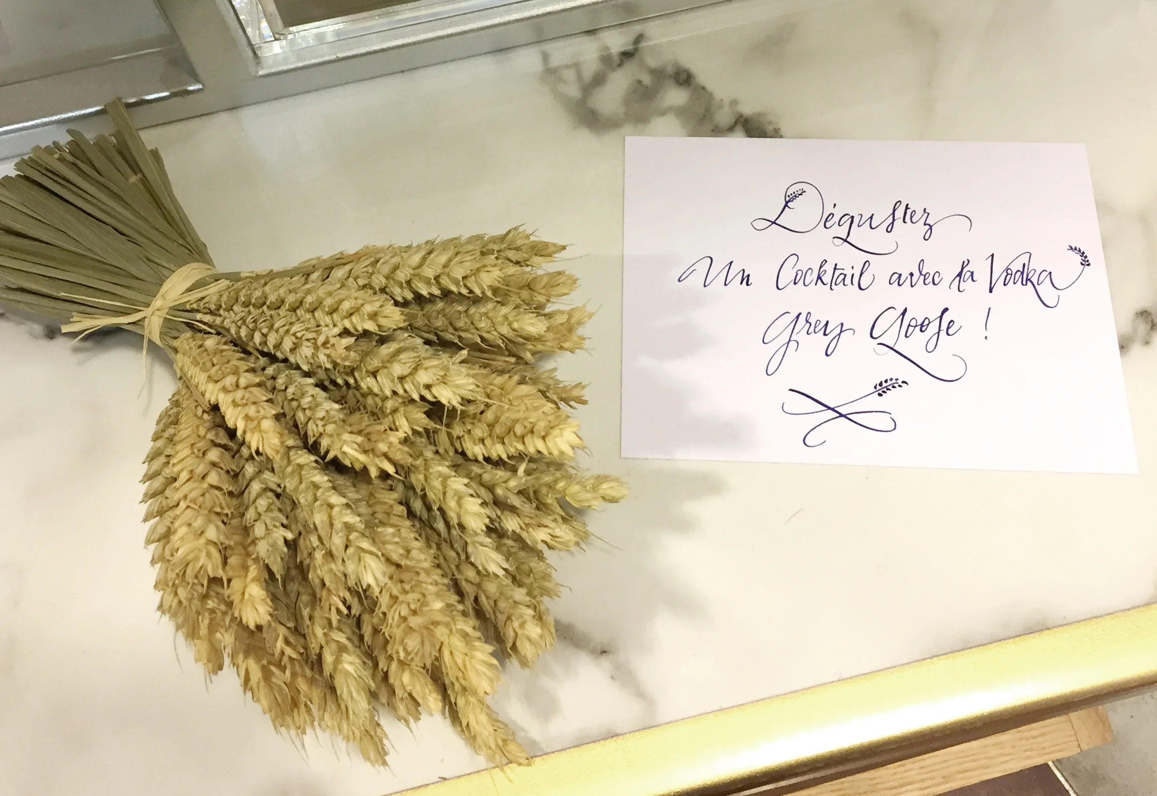 Sandie lechaix_greygoose-06.JPG