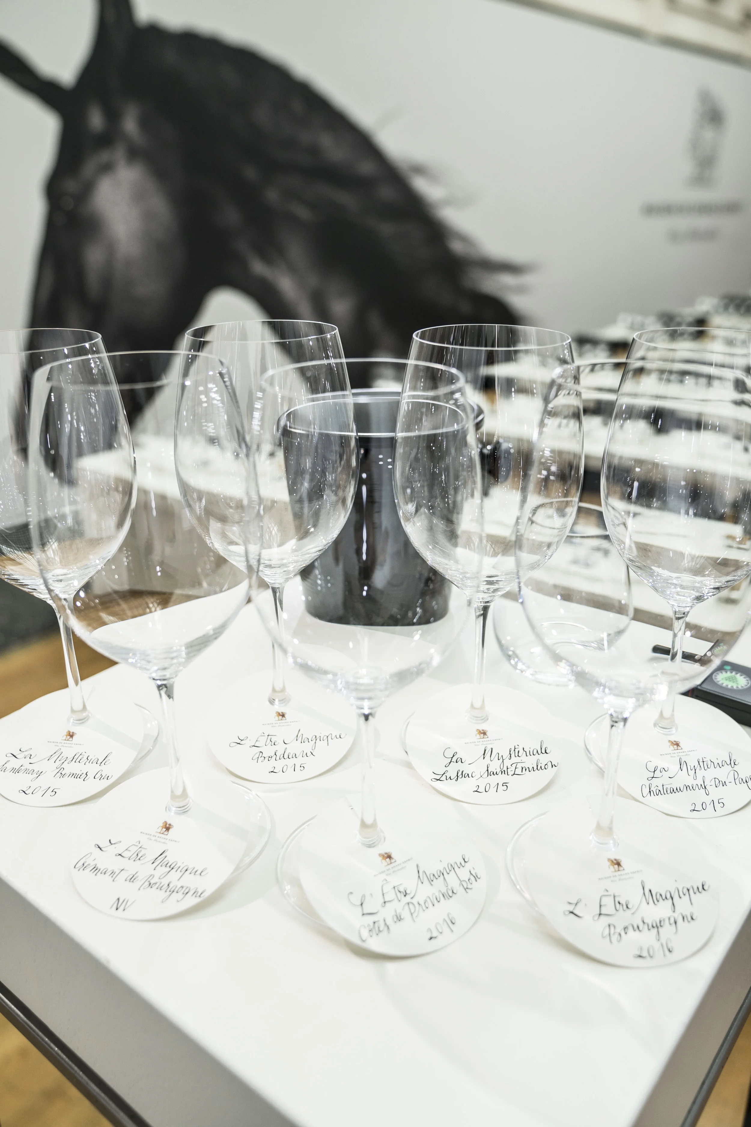 Sandie lechaix_TWE-06.JPG