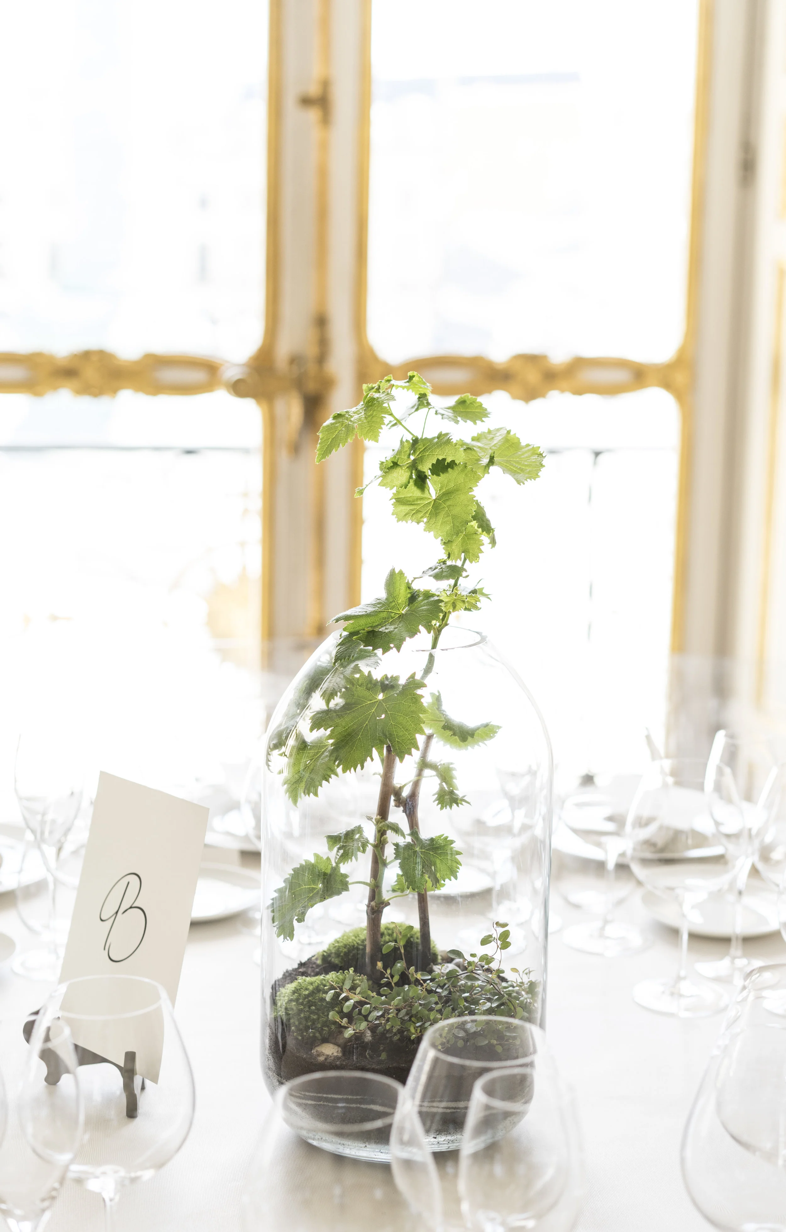 Sandie lechaix_TWE-10.JPG