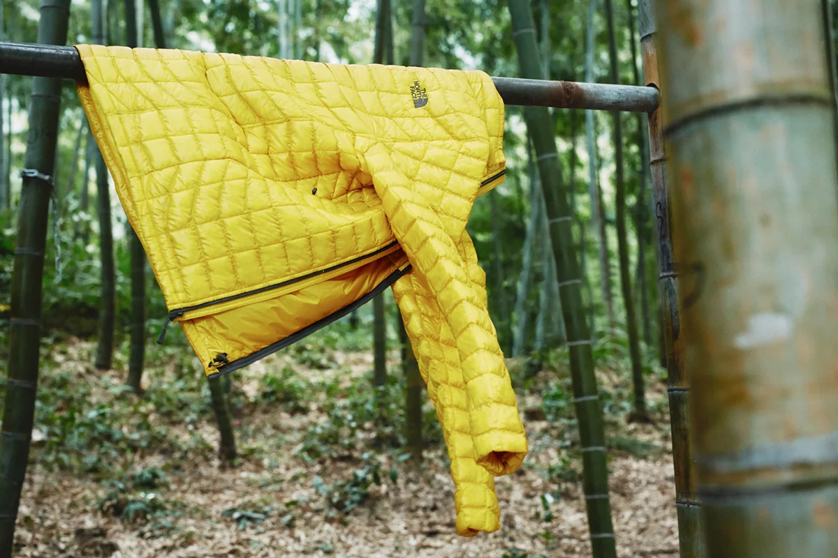 _T9A1300 1副本.jpg