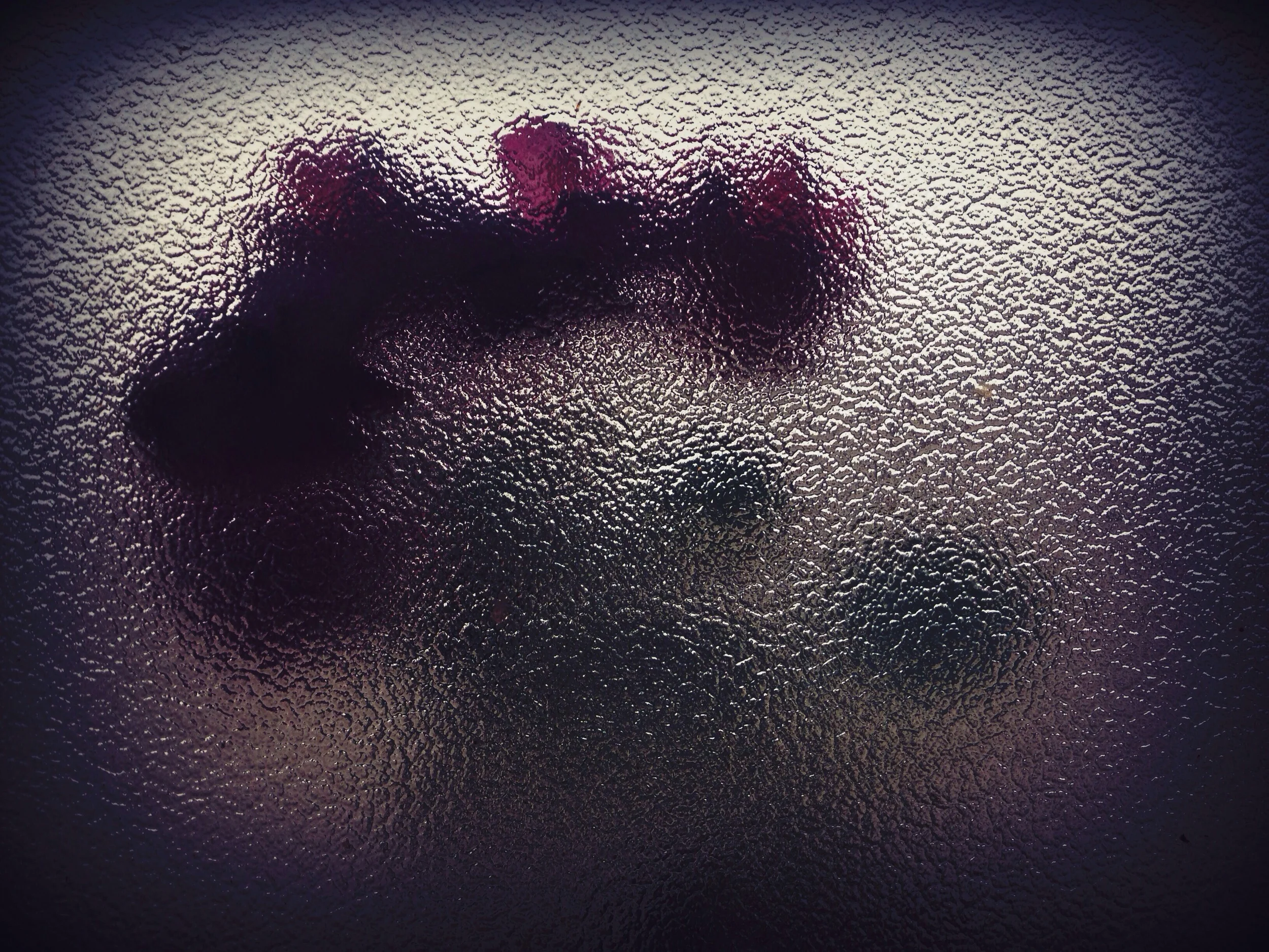A rose bush seen through a textured window. 