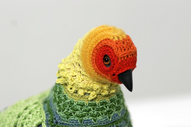 Colorful Bird Suits by Laurel Roth Hope