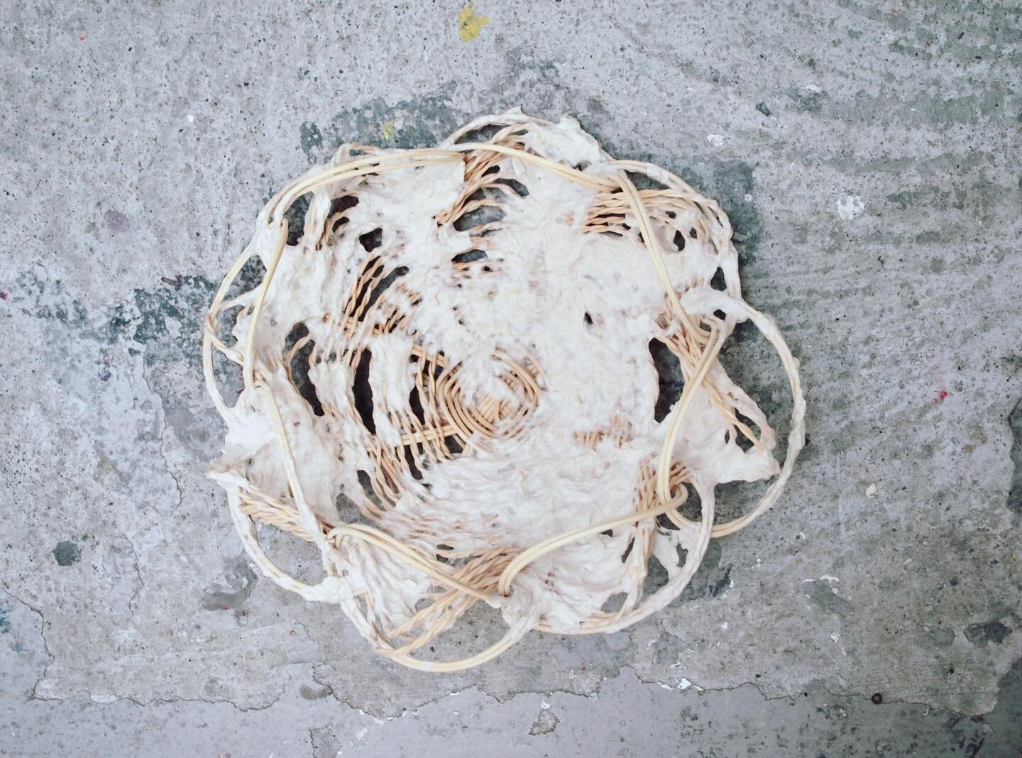 Another piece from the residency in Ireland. This basket form was a small experiment in pushing limits. The twining I did expanded beyond the length of the space between spokes, so naturally waves formed in the structure of the basket. And I didn&rsq