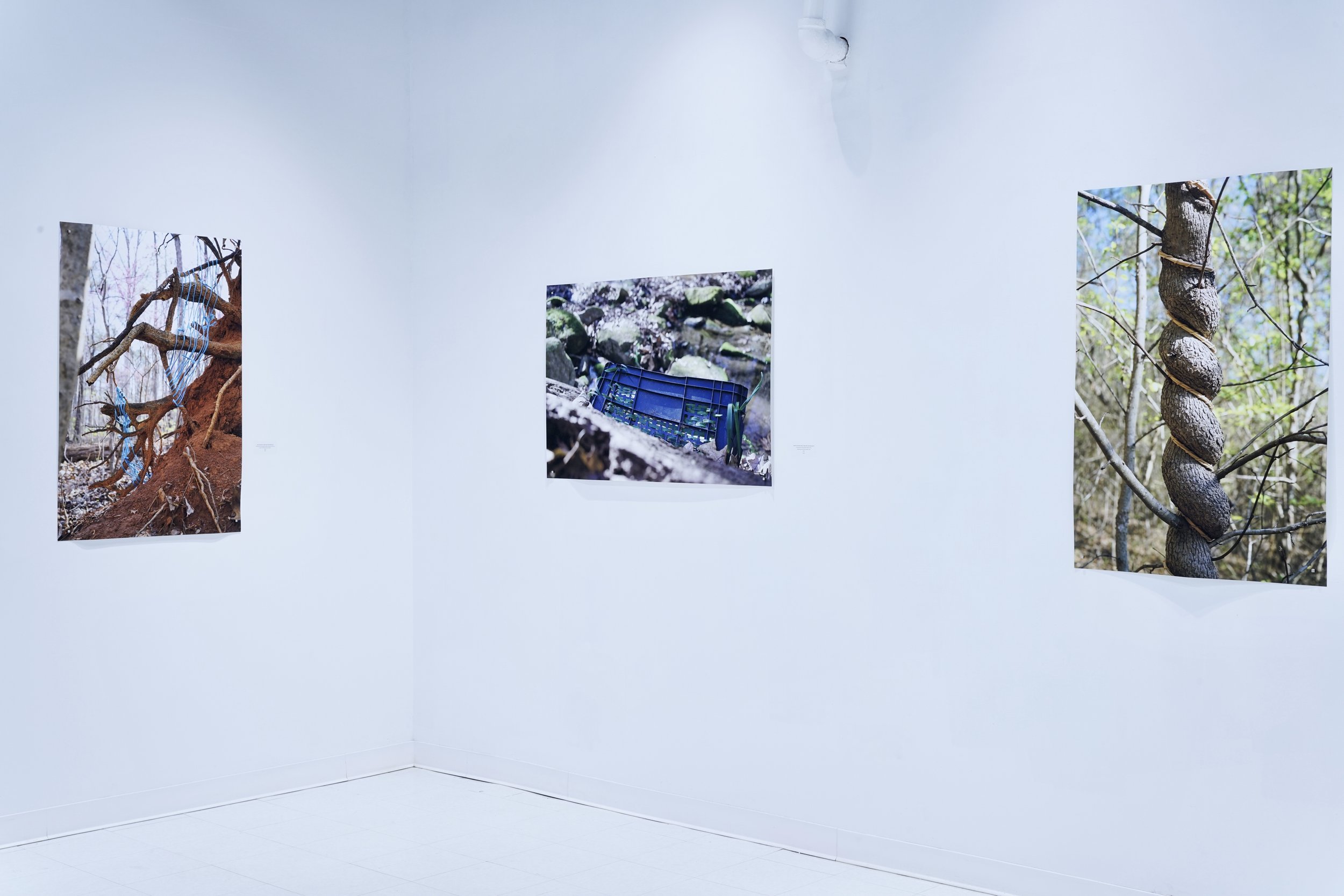 Interference : Interwoven